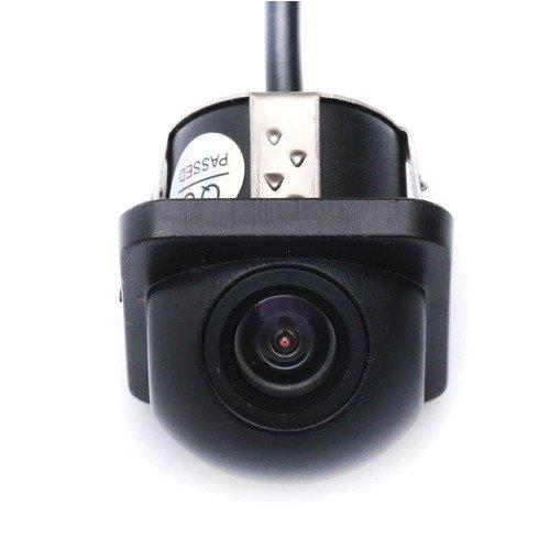 CAMERA DE RE TARTARUGA
